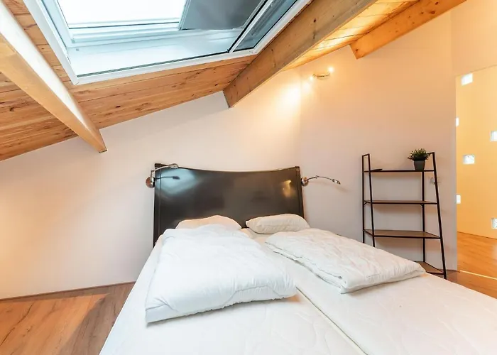 In Near Efteling Park *