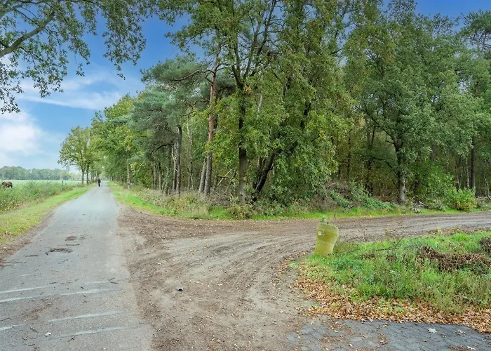 In Near Efteling Park