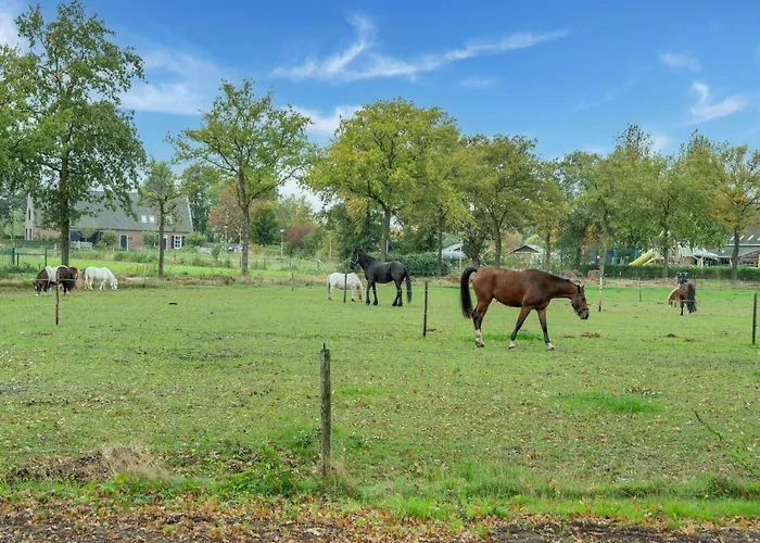 In Near Efteling Park * Goirle